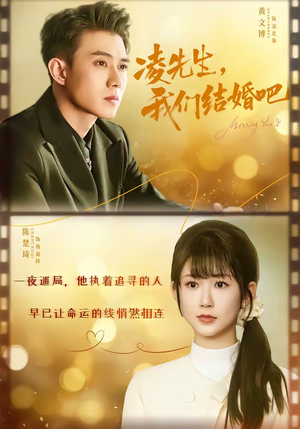 凌先生，我们结婚吧（68集）免费短剧片段