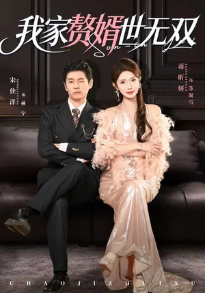 我家赘婿世无双（73集）短剧排行榜