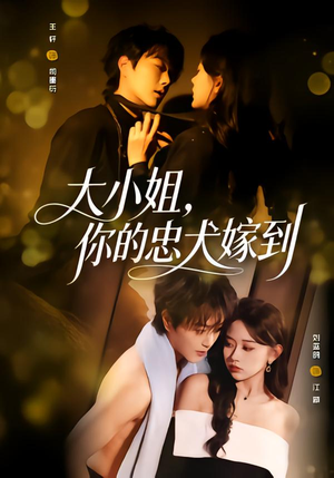 大小姐，你的忠犬嫁到（80集）精彩好看的短剧