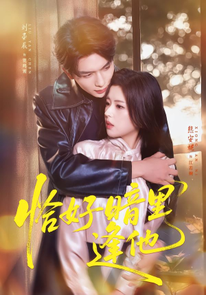 恰好暗里逢他（66集）常回家看看短剧