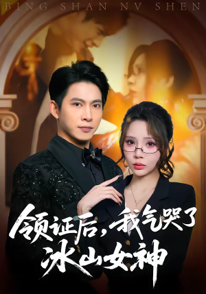 领证后，我气哭了冰山女神（60集）最火短剧推荐