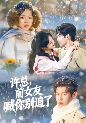 许总，前女友喊你别追了（80集）看精彩短剧