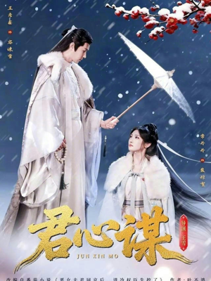 君心谋（80集）热播短剧抢先看