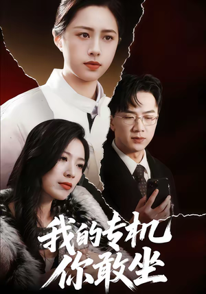 我的专机你敢坐（62集）完整版免费观看