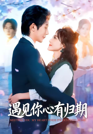 遇见你心有归期（81集）免费版