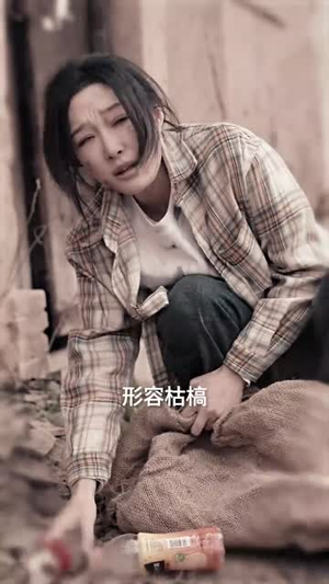 贤妻凶猛（60集）流畅播放免费看