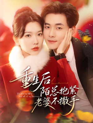 重生后陌总抱紧老婆不撒手（66集）番茄免费短剧