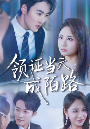 领证当天成陌路（39集）爆款短剧推荐