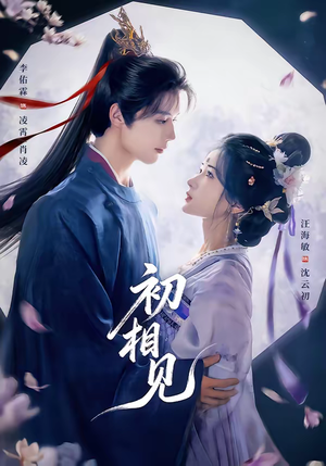 初相见（76集）剧好看短剧推荐