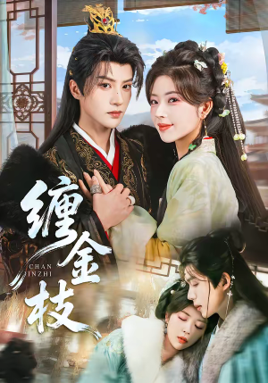 缠金枝（69集）免费短剧合集