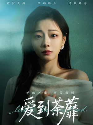 爱到荼蘼（63集）在哪里可以看