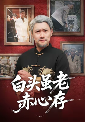 白头虽老赤心存（71集）好看短剧看不停