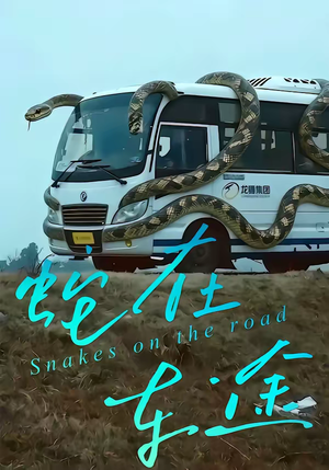 蛇在车途（34集）古装热门短剧
