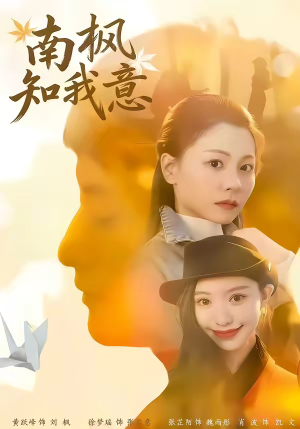 南枫知我意（41集）短剧上头又好看