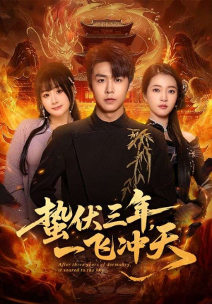 蛰伏三年，一飞冲天（60集）免费在线看全集