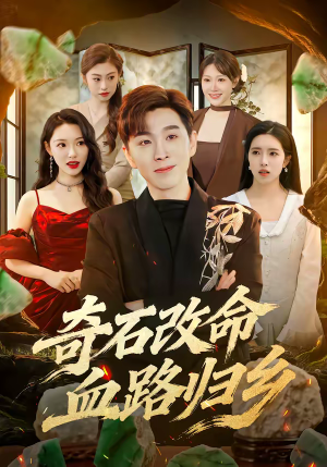 奇石改命血路归乡（81集）在线看