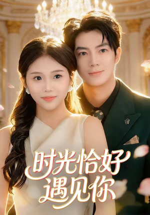 时光恰好遇见你（80集）短剧越看越精彩