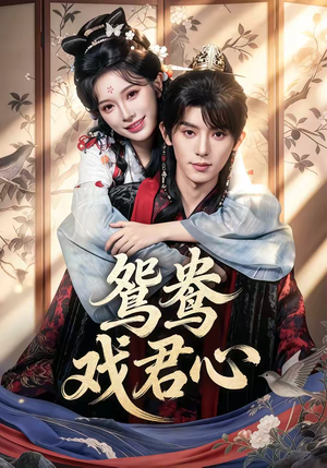 鸳鸯戏君心（60集）短剧太精彩