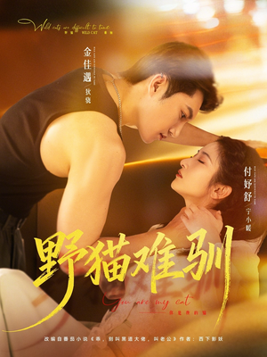 野猫难驯（73集）短剧片段推荐