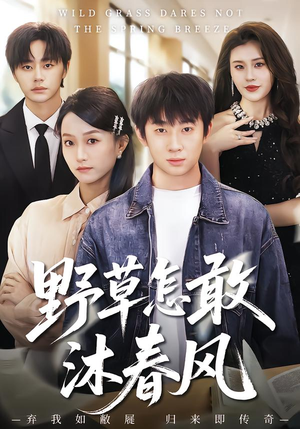 野草怎敢沐春风（61集）精彩短剧分享