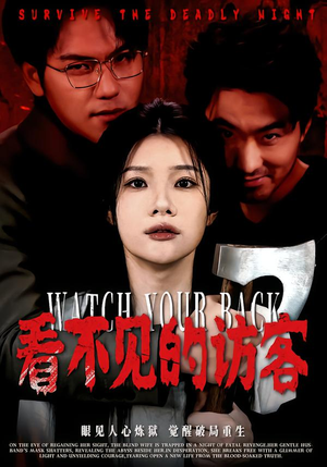 看不见的访客（62集）古装短剧推荐