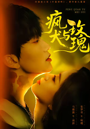 疯犬与玫瑰（80集）免费看全集