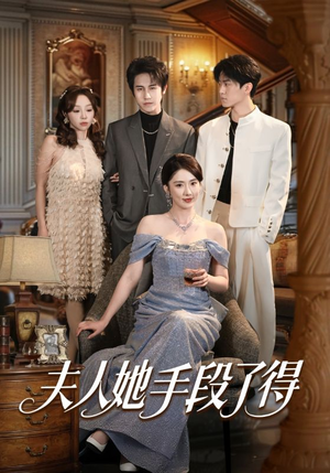 夫人她手段了得（82集）80到100集