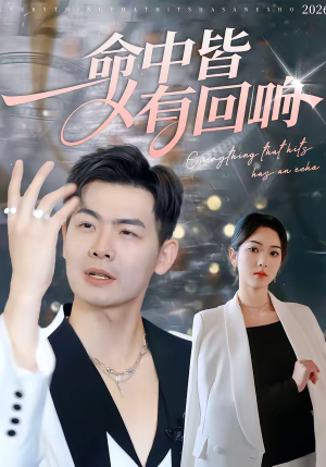 命中皆有回响（62集）好看短剧分享