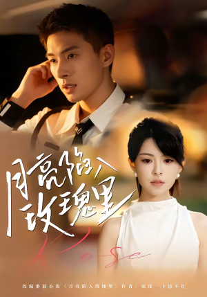 月亮陷入玫瑰里（60集）迅雷网盘观看