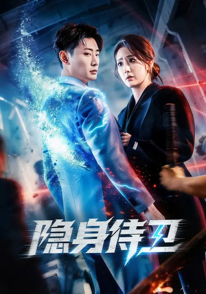 隐身侍卫（80集）好看吗