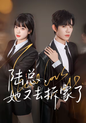 陆总，她又去拆家了（80集）真的太好看了