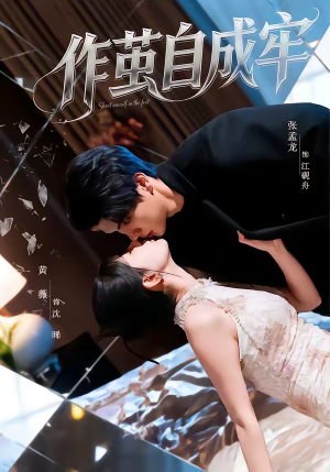 作茧自成牢（52集）精彩片段