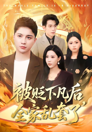 被贬下凡后全家乱套了（88集）360网盘观看