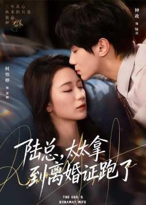 陆总,太太拿到离婚证跑了(86集) 陆总,太太拿到离婚证跑了(86集)常回家看看短剧