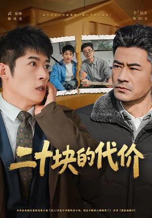 二十块的代价（64集）免费短剧大全