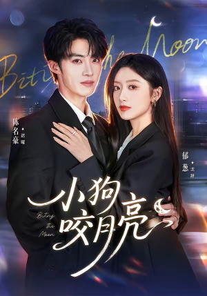 小狗咬月亮（66集）短剧追不停