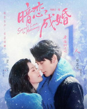 暗恋成婚（60集）一口气追完全集