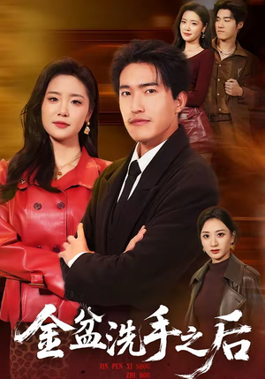 金盆洗手之后（62集）看到了大结局