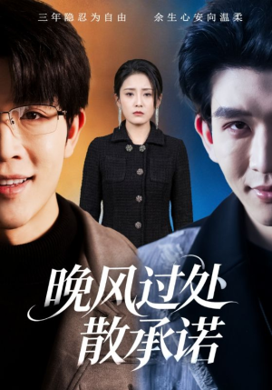 晚风过处散承诺（65集）爱上了这部剧了