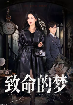 致命的梦（70集）口碑之选免费看