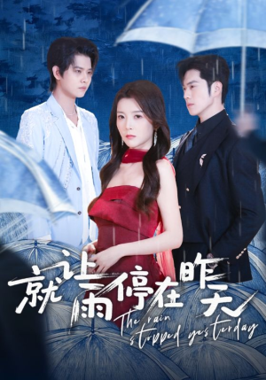 就让雨停在昨天（70集）热门短剧分享