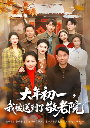 大年初一，我被送到了敬老院（60集）经典老剧免费看