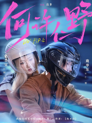 何许仁野（60集）高分佳作免费看