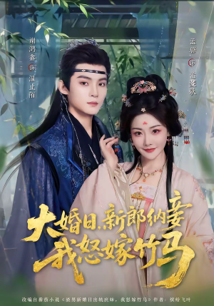 大婚日，新郎纳妾我怒嫁竹马（80集）哪个短剧网能看