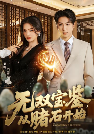 无双宝鉴，从赌石开始（70集）热门短剧大全