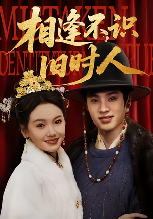 相逢不识旧时人（56集）第二季