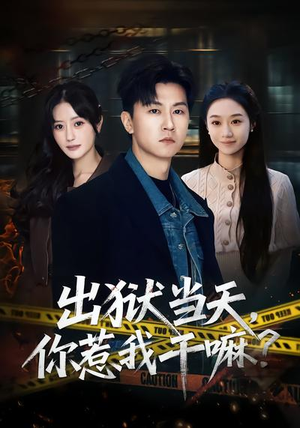 出狱当天，你惹我干嘛？（62集）热播短剧追不停