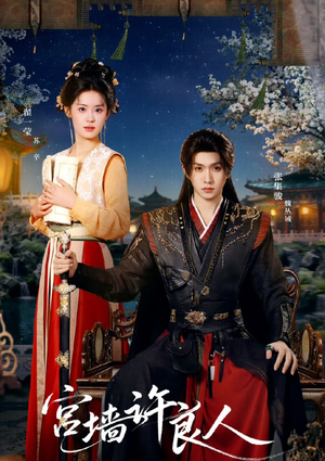 宫墙许良人（67集）直接追到结尾
