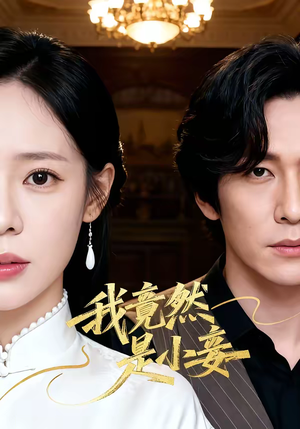 我竟然是小妾（47集）UC网盘在线看