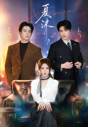 夏沫（65集）集免费看短剧